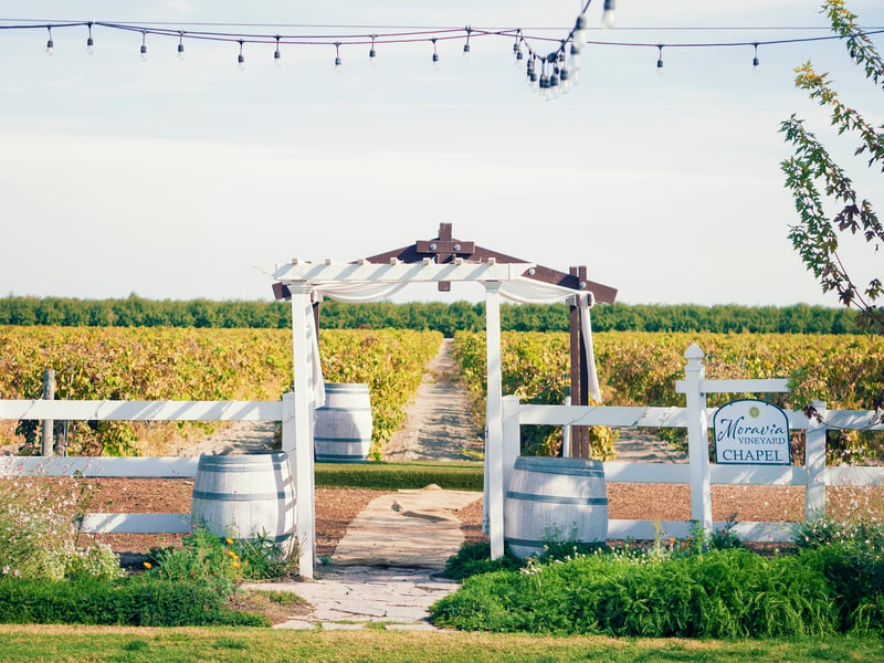 Moravia Wines