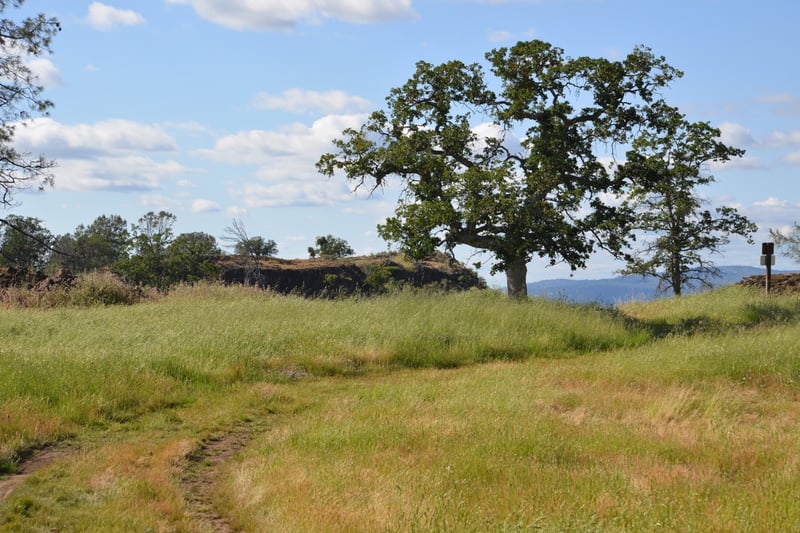 McKenzie Table Mountain Preserve