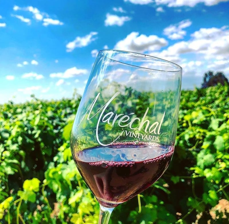 Marechal Vineyards