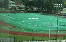 Ralph Young Field- MSU