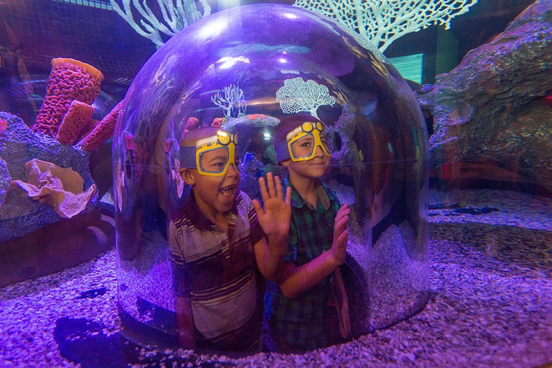 SEA LIFE Arizona
