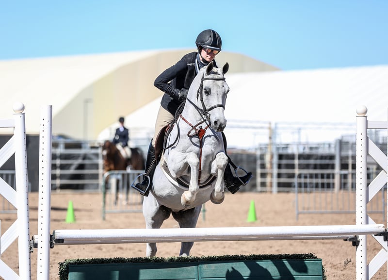 Arabian Horse Association of Arizona