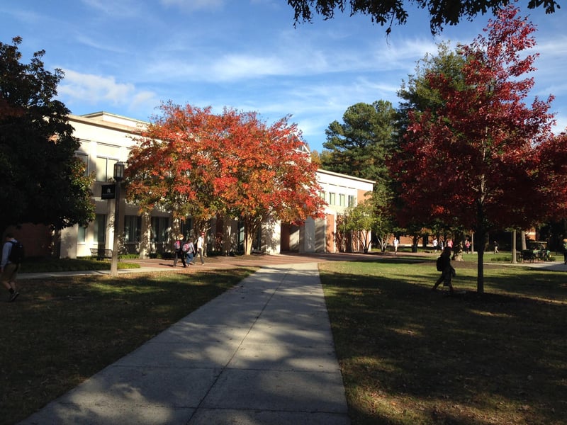 Flippo Gallery and McGraw-Page Library
