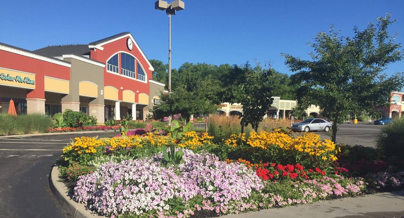 Pittsford Plaza