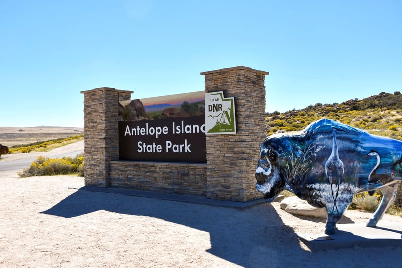Great Salt Lake & Antelope Island 1-Day Tour
