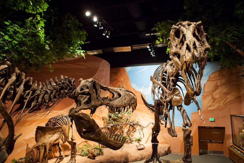 Mountain America Museum of Ancient Life