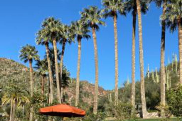 Castle Hot Springs