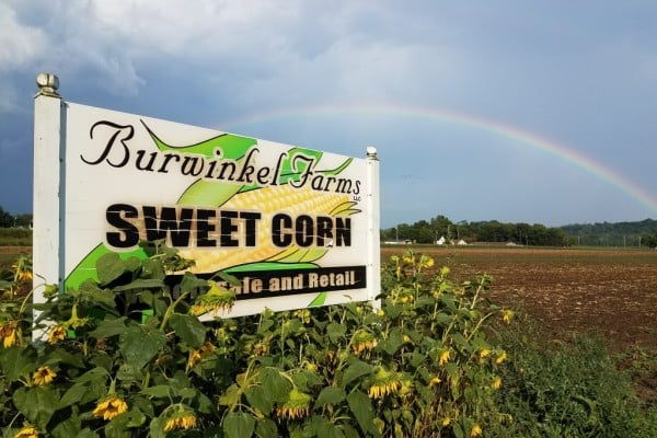 Burwinkel Farms
