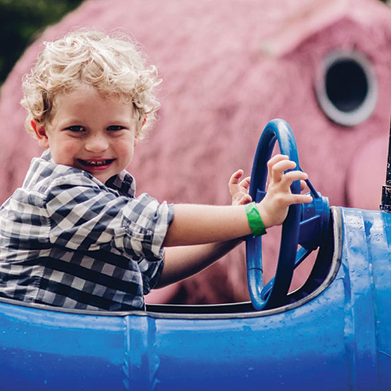 Lucky Ladd Farms - Farm Park & Zoo