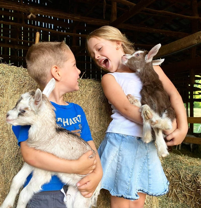 Noble Springs Dairy