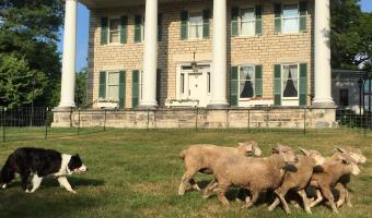Simon Perkins Stone Mansion