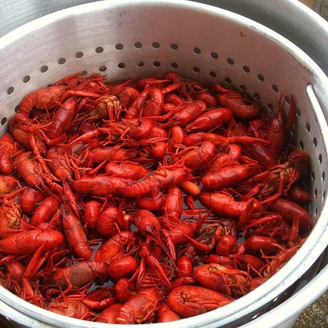 The Crawfish Hole