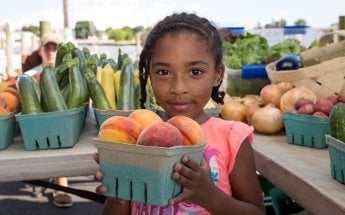 Cambridge Farmer's Market
