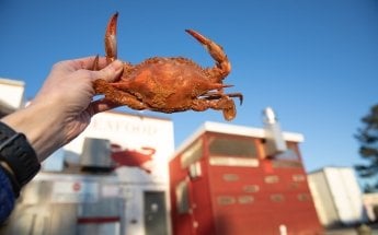Lindy's Seafood