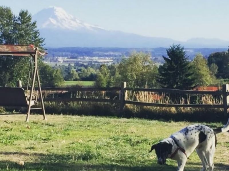 Grandview Off-Leash Dog Park