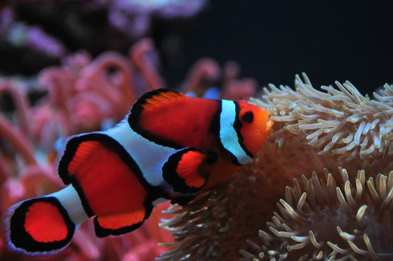 Seattle Aquarium