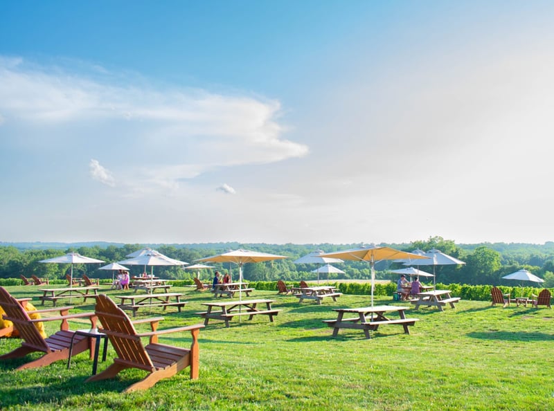 Windridge Vineyards