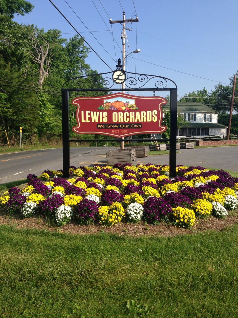 Lewis Orchards