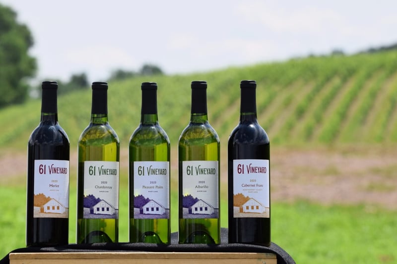 61 Vineyard