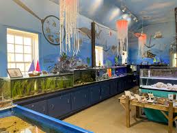 Glen Echo Park Aquarium
