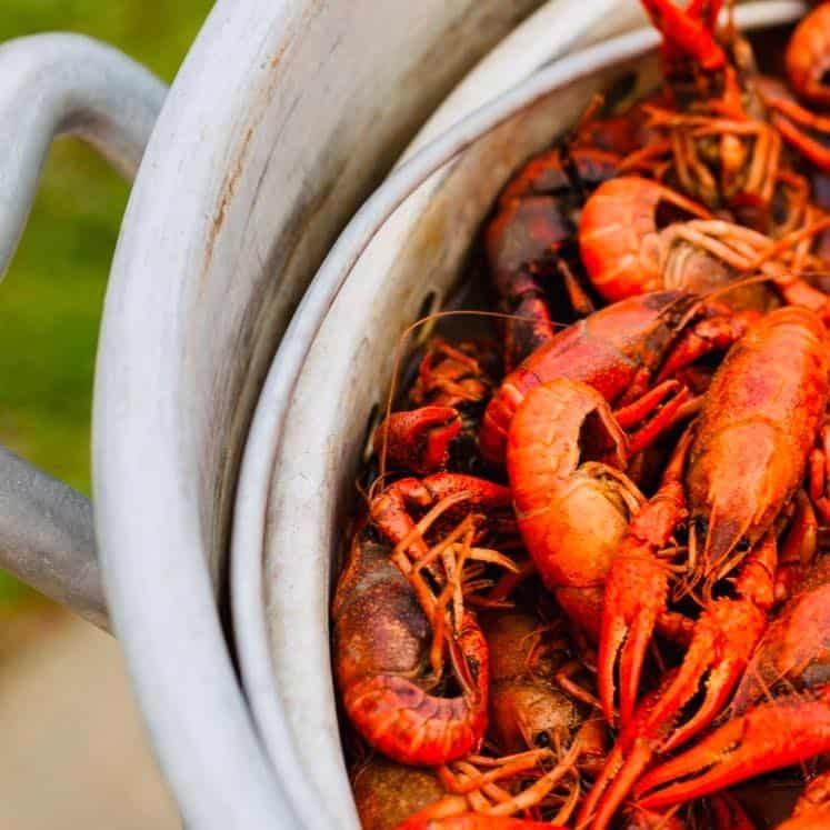 Top Notch Seafood & More