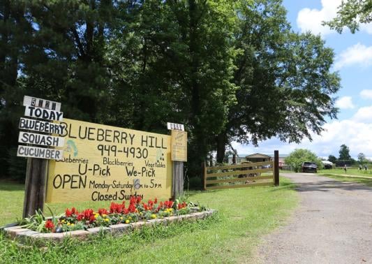 Blueberry Hill-Bossier