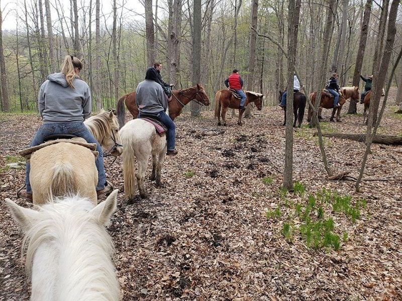 Pine River Stables