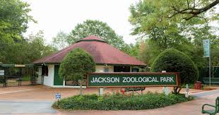 The Jackson Zoo