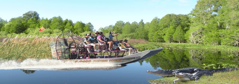 Alligator Cove Airboat Nature Tours