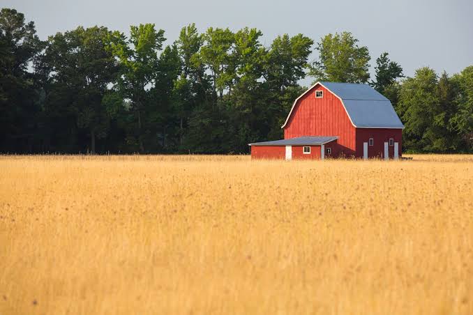 Family Affair Farm