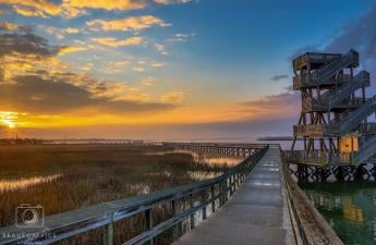 Port Royal Boardwalk and Observation Tower