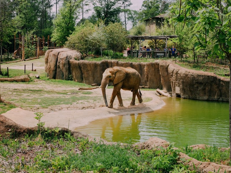 Birmingham Zoo