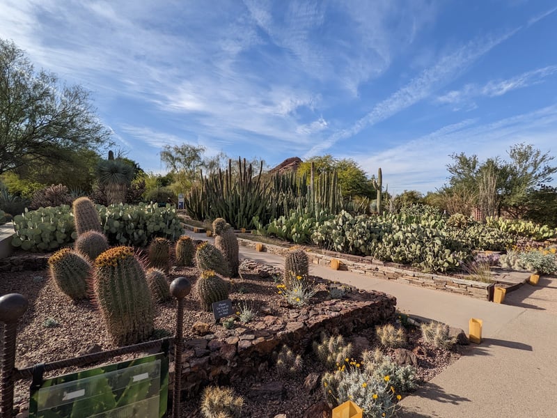 Desert Botanical Garden