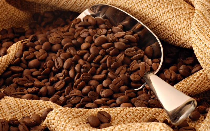Meg-A-Latte | Coffee House (Bismarck Location)