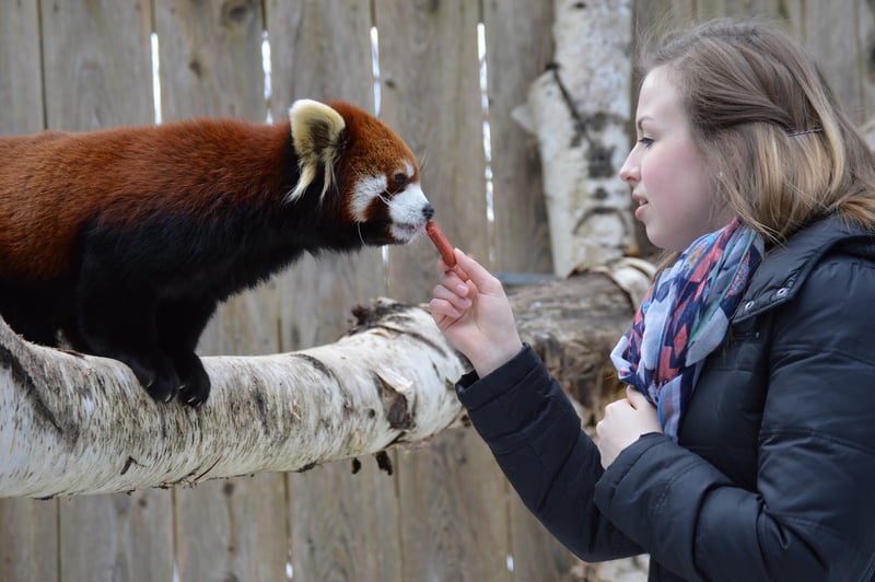 Utica Zoo