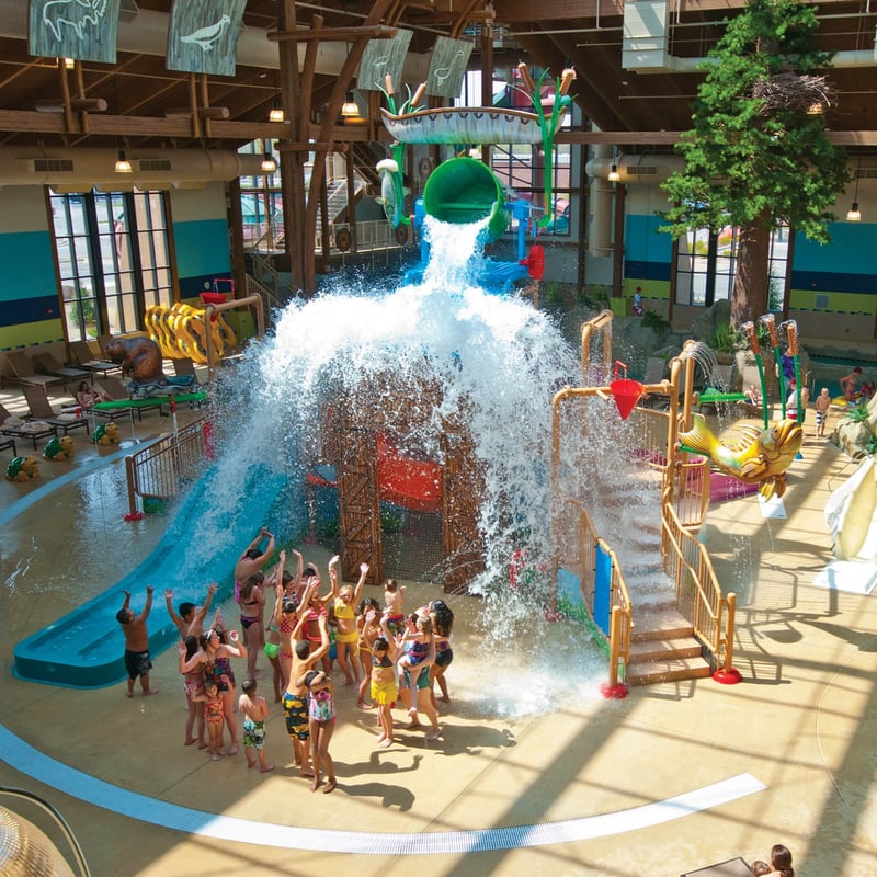 Soaring Eagle Waterpark