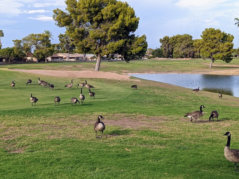 Ken McDonald Golf Course