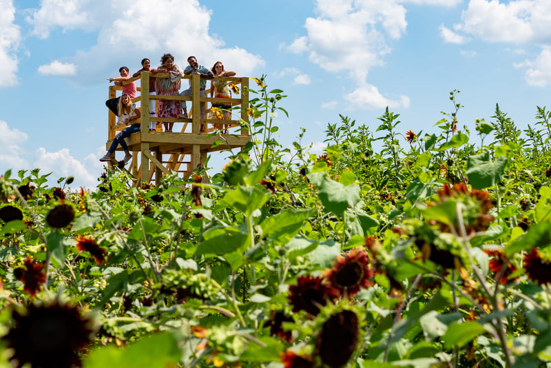 Maple Lawn Winery & Cider House