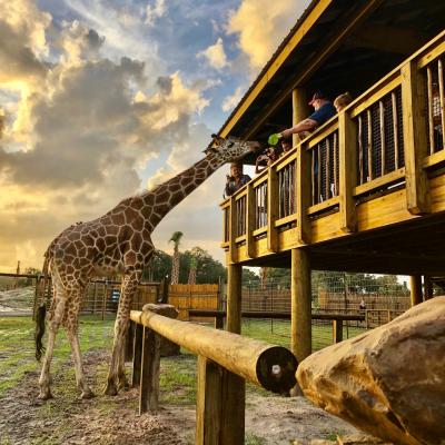 Wild Florida Adventure Park