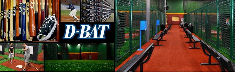 D-BAT Skagit Valley