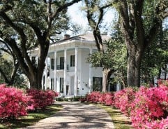 Bragg-Mitchell Mansion