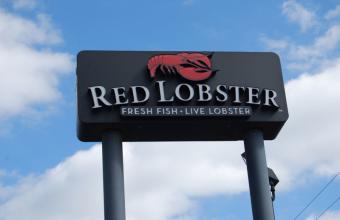 Red Lobster