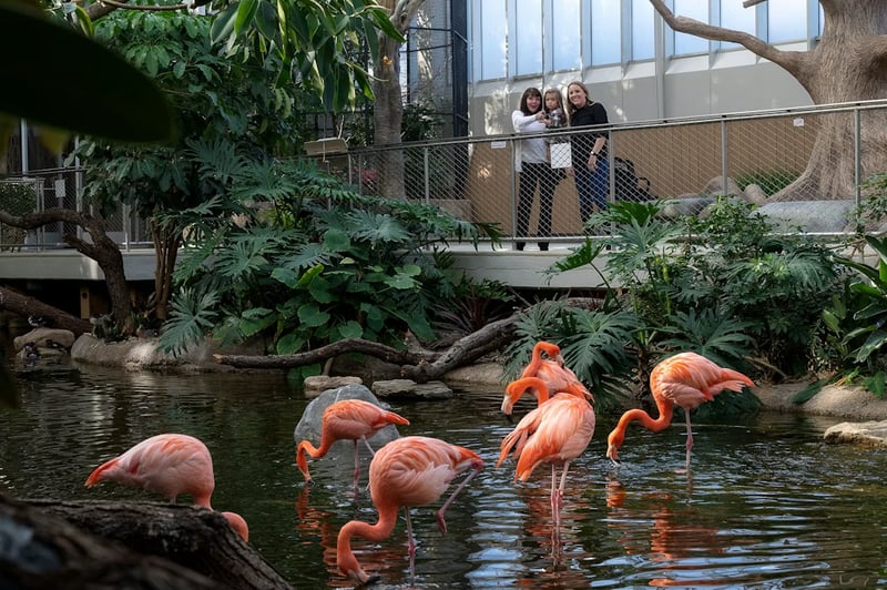 National Aviary