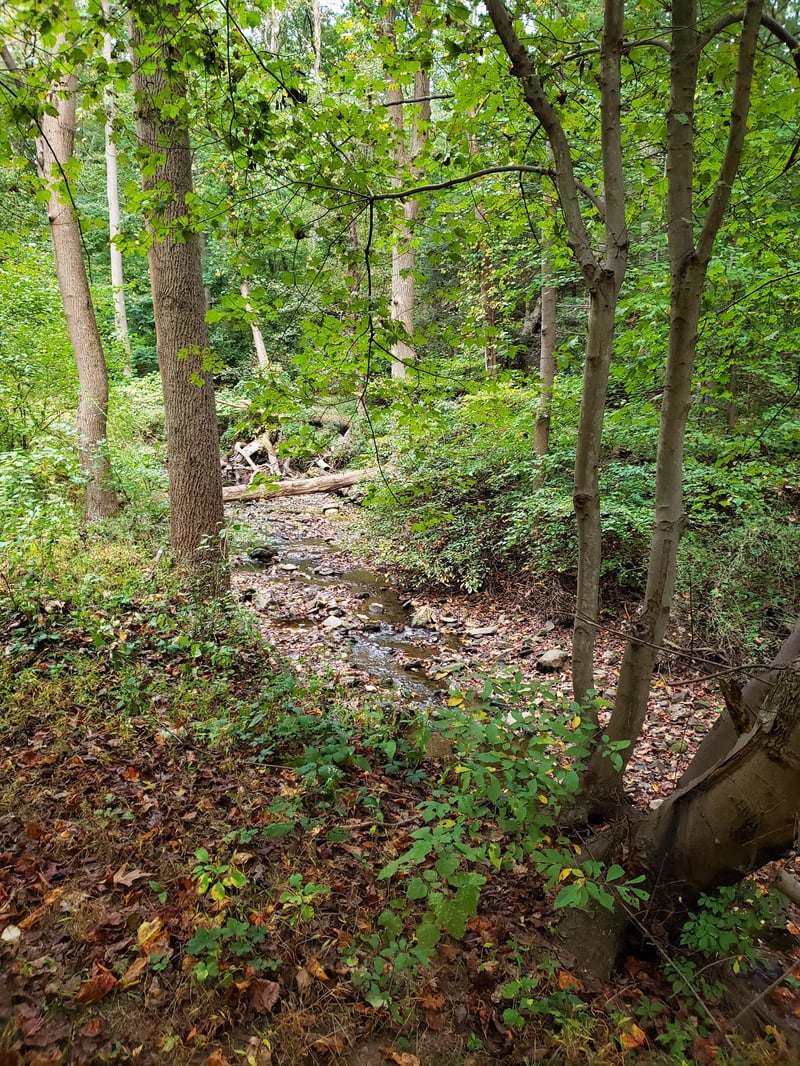 Glen Providence Park