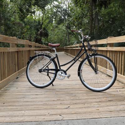 Celebration Bike Rentals | E-Bikes, Tours, Deliveries, and More