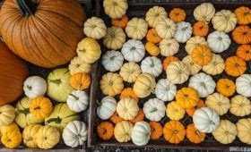 Barefoot Farm Market