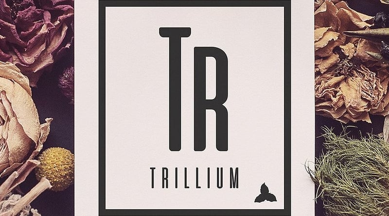 Trillium Kitchen + Cocktails