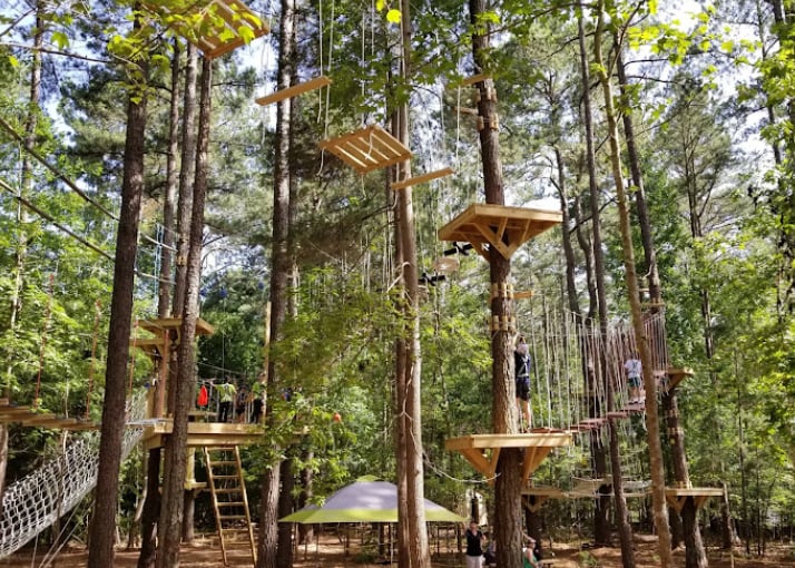 TreeRunner Grand Rapids Adventure Park