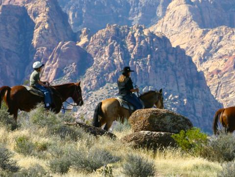 Cowboy Trail Rides