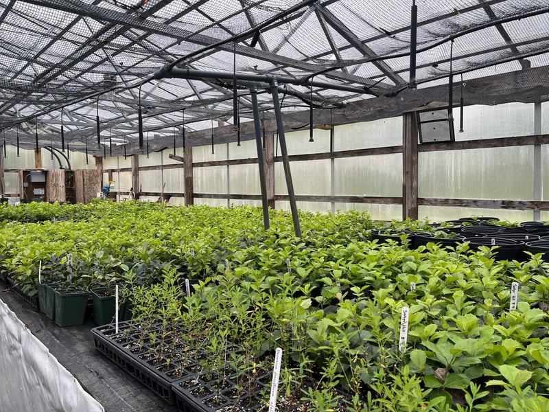 Heartwood Nursery, Inc.